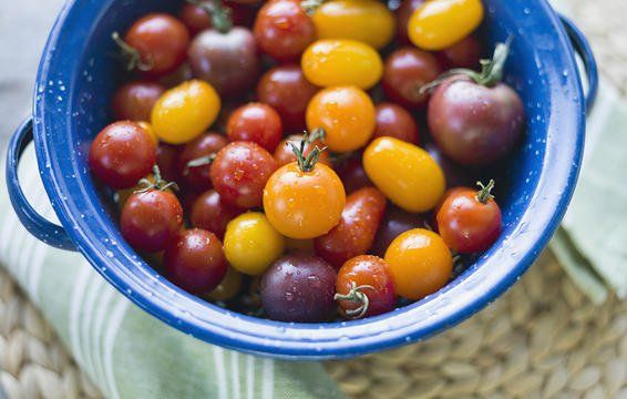 tomatoes