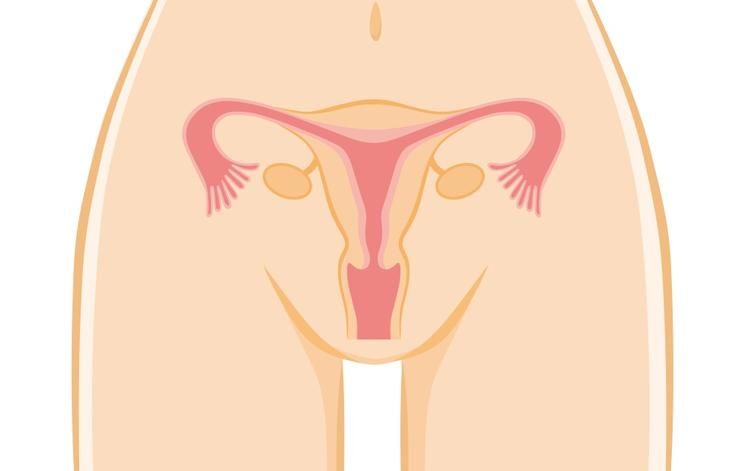 shutterstock 359456372 cervical stenosis toranosuke