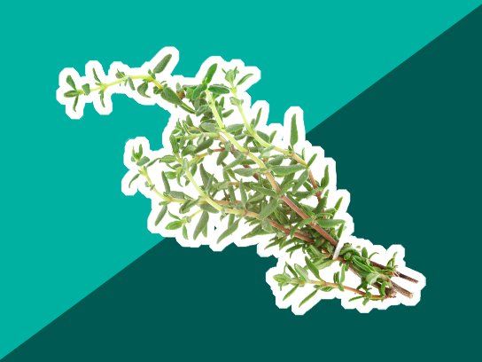 01 natural cough remedies thyme