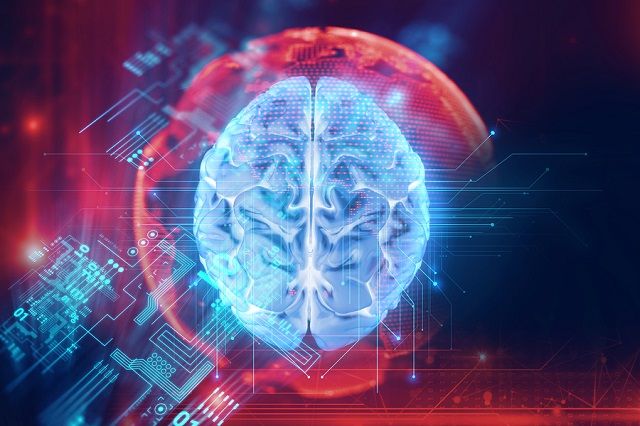 bigstock D Rendering Of Human Brain O 195737152