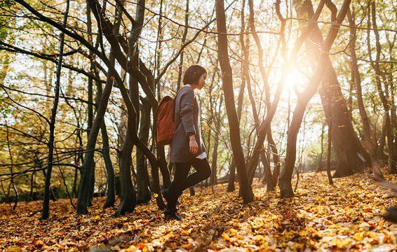 walking woods2
