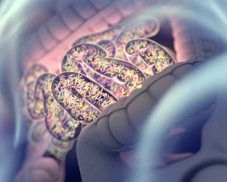bigstock Gut Bacteria Gut Flora Micr 186785512