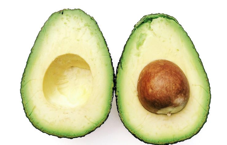 avocado