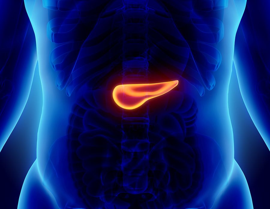 Pancreas