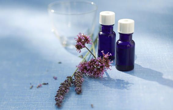 Lavender