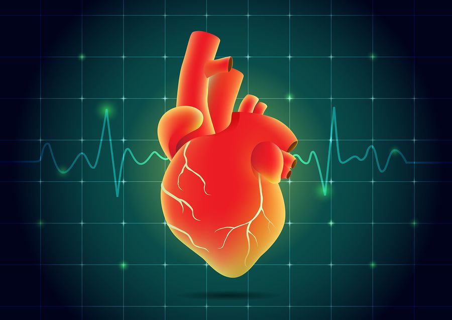 heart rate