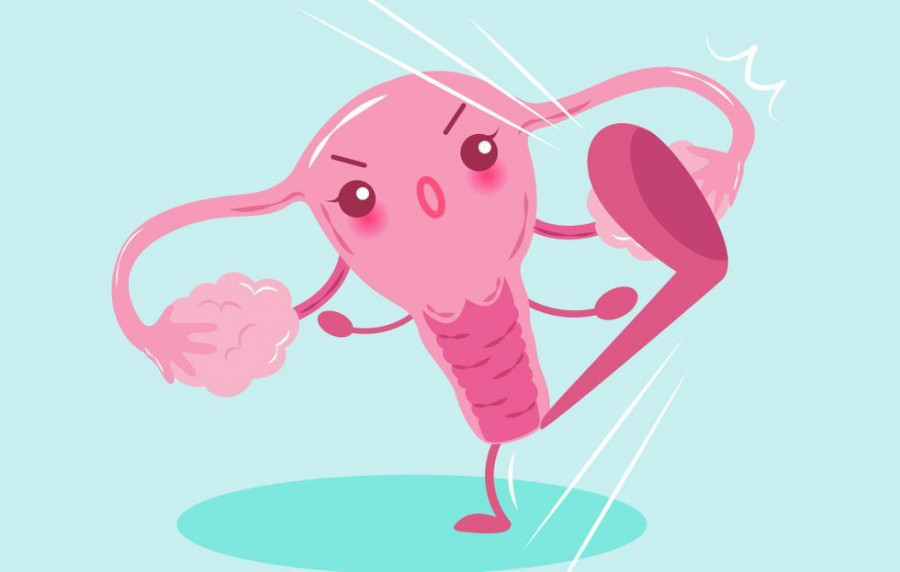 uterus