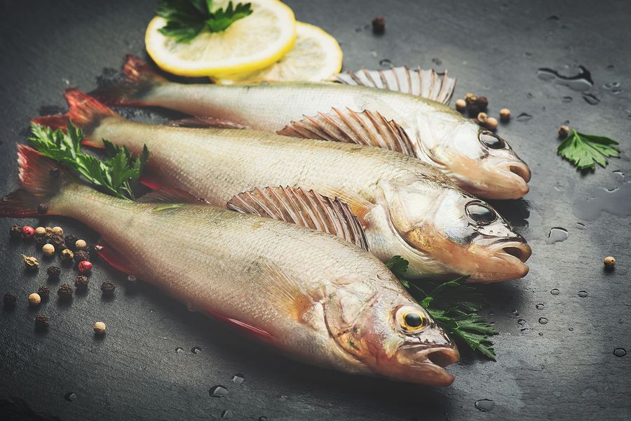 fish