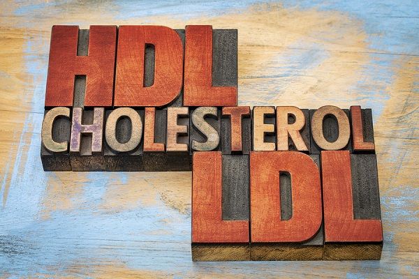 hdl ldl