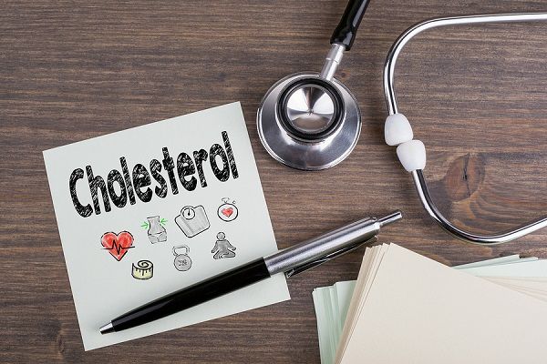 xolisterini 2