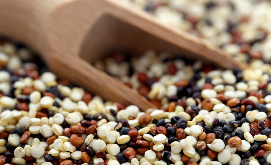 quinoa