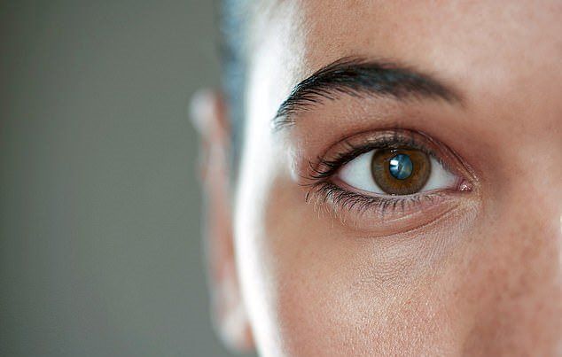 eye
