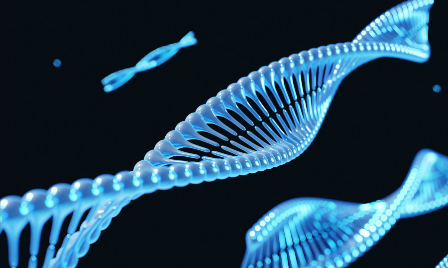 Dna